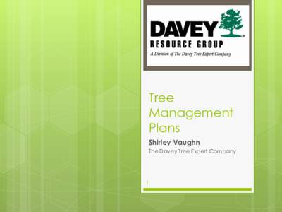 Tree Management Plans Shirley Vaughn The Davey Tree Expert Company