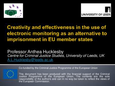 Professor Anthea Hucklesby Centre for Criminal Justice Studies, University of Leeds, UK  Co-funded by the Criminal Justice Programme of the European Union This document has been produced with the