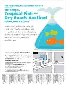 JSAS auction Spring 2013 flyer-Color