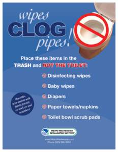 CLOG   Place these items in the TRASH and NOT the toilet: