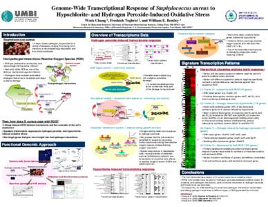 Microsoft PowerPoint - AICHE 2006 Poster_WChang_4