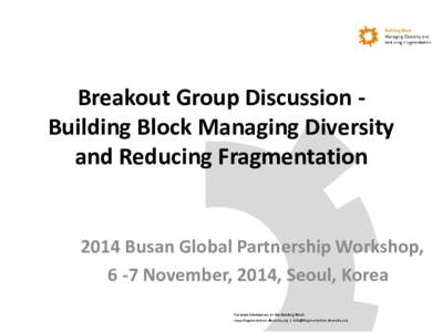 Breakout Group Discussion Building Block Managing Diversity and Reducing Fragmentation 2014 Busan Global Partnership Workshop, 6 -7 November, 2014, Seoul, Korea