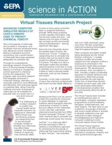 www.epa.gov/research  science in ACTION I N N O VAT I V E R E S E A R C H F O R A S U S TA I N A B L E F U T U R E  Virtual Tissues Research Project