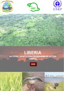 Monrovia / Roberts International Airport / Outline of Liberia / Africa / Liberia / Politics of Liberia