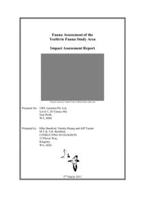 Fauna Assessment of the Yeelirrie Fauna Study Area Impact Assessment Report Pygopus nigriceps, found in the Yeelirrie fauna study area