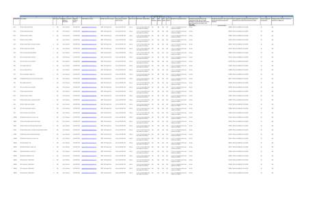 NEI Investments - Form 8937 Summary - IRS Tax InfoClient Copy)revised.xlsx