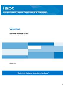 Microsoft Word - Veterans Positive Practice Guide Final.doc