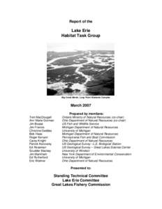 Report of the  Lake Erie Habitat Task Group  Big Creek Marsh, Long Point Wetlands Complex