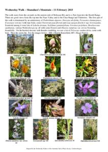 Plant List for Shanahan’s Mountain – 3 February 1999, 17 November 1999 & 8 November 2000