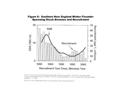 6. Southern New England Winter Flounder Spawning Stock Biomass and Recruitment