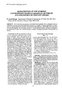 [removed]The Journal of Arachnology 23 :91—9 9  REDESCRIPTION OF THE SCORPIO N