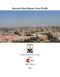 Qarawat Bani Hassan Town Profile  Prepared by