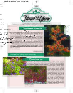 Botany / Epimedium / Oxydendrum / Hydrangea quercifolia / Flora of the United States / Medicinal plants / Flora