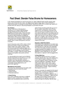 Fact Sheet: Slender False Brome for Homeowners