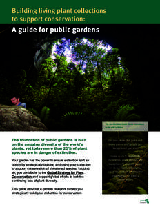 Building living plant collections to support conservation: A guide for public gardens  The rare Sinkhole Cycad, Zamia decumbens