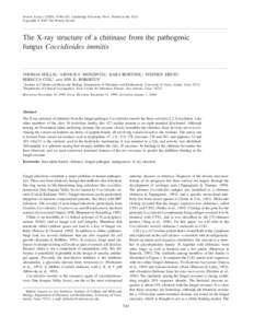 Chitinase / Biochemistry / Beta sheet / Active site / Glycoside hydrolase family 19 / Carbohydrate-binding module / Protein domains / Biology / Chemistry