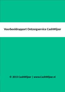 Voorbeeldrapport Ontzorgservice CashWijzer  © 2015 CashWijzer | www.CashWijzer.nl Haa Marieke,