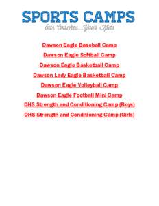          Dawson Eagle Baseball Camp