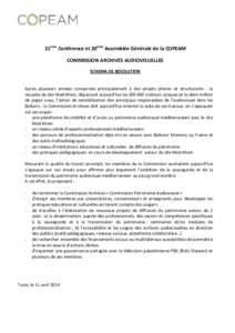 21ème Conférence et 20ème Assemblée Générale de la COPEAM COMMISSION ARCHIVES AUDIOVISUELLES SCHEMA DE RESOLUTION Après plusieurs années consacrées principalement à des projets phares et structurants - la réus