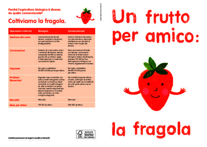 graphic design Francesca Spinazzé  Perché l’agricoltura biologica è diversa da quella convenzionale?  Coltiviamo la fragola.