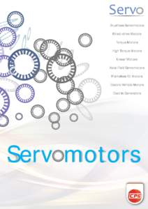 Brushless Servomotors Direct-drive Motors Torque Motors High Torque Motors Linear Motors Axial-Field Servomotors