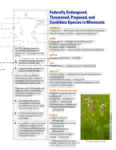 Federally Endangered, Threatened, Proposed, and Candidate Species in Minnesota MAMMALS Canada lynx - threatened and critical habitat designated Northern long-eared bat - proposed endangered