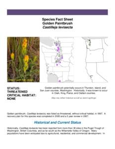 Species Fact Sheet Golden Paintbrush Castilleja levisecta Photo Credit: Ben Legler