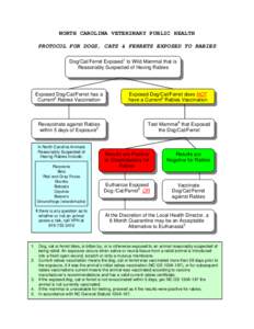 Vaccination / Rabies / Viral encephalitis / Zoonoses / Pet skunk / Ferret / Bite / Vaccine / Skunk / Biology / Medicine / Health