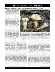Mushroom / Melanoleuca / Biology / Lyophyllum / Mycology / Tree of life / Edible fungi / Tricholomataceae / Fungi
