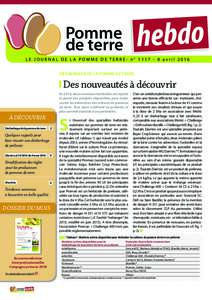 hebdo  Pomme de terre  LE JOURNAL DE LA POMME DE TERRE- n° avril 2016