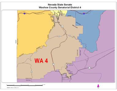 Nevada State Senate:  Washoe County Senatorial District 4