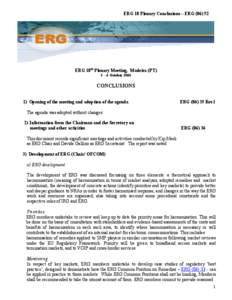 ERG 18th Plenary Conclusions