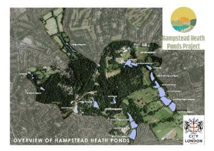 Hampstead-heath-ponds-map