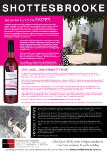 Wine / Sauvignon blanc / McLaren Flat /  South Australia / Fleurieu Peninsula / McLaren Vale / Wine tasting
