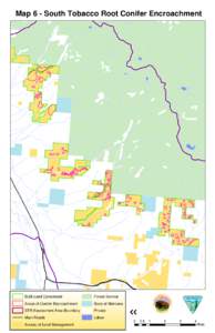 Map 6 - South Tobacco Root Conifer Encroachment  BLM Land Considered Forest Service