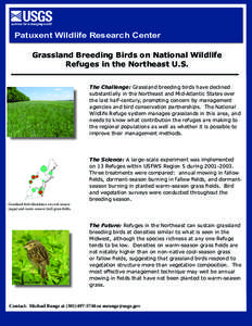 Patuxent Wildlife Research Center Grassland Breeding Birds on National Wildlife Refuges in the Northeast U.S. The Challenge: Grassland breeding birds have declined substantially in the Northeast and Mid-Atlantic States o