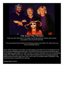 Electric Prunes Interview