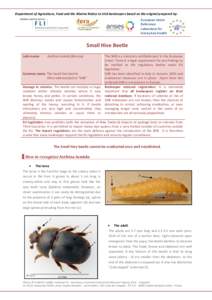 Department of Agriculture, Food and the Marine Notice to Irish beekeepers based on the original prepared by: European Union Reference Laboratory for honey bee health