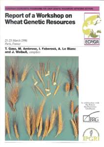 ii  WHEAT GENETIC RESOURCES WORKSHOP The International Plant Genetic Resources Institute (IPGRI) is an autonomous international scientific organization operating under the aegis of the Consultative Group on Internationa