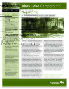 Black Lake Campground Nopiming Provincial Park Campground Tips  Nopiming