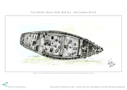 Fury Shoals, Marsa Alam, Red Sea - Abu Galawa Wreck  © Rik Vercoe - the author authorises you to print this map for use in your diving but not for publishing in print or online. divesitedirectory