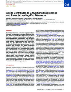 Apollo Contributes to G Overhang Maintenance and Protects Leading-End Telomeres