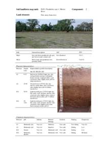 back Soil landform map unit: FLP1; Floodplain, type 1, Murray River