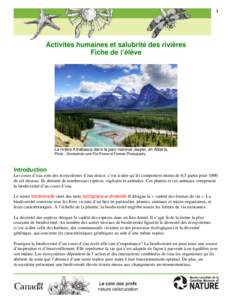 1  Activités humaines et salubrité des rivières Fiche de l’élève  La rivière Athabasca dans le parc national Jasper, en Alberta.