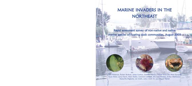 MARINE INVADERS IN THE NORTHEAST Rapid assessment survey of non-native and native m a r i n e s p e c i e s o f f l o a t i n g d o c k c o m m u n i t i e s , August 2003