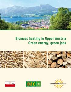 Biomass heating in Upper Austria Green energy, green jobs This publication uses European and US units. “Tons“ in this publication are metric tons, for conversion to US tons, multiply by the factor 1.1