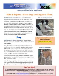 August 2014 #3, E-News for Our Special Friends  Duke & Sophie: 2 Great Dogs Looking for a Home Woof! (Hello!), my name is Duke. I’m a 3 year-old handsome, neutered male, kind of a husky–lab mix, and I weigh about 70l