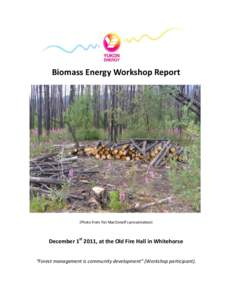 Biomass Energy Workshop Report  (Photo from Pat MacDonell’s presentation) December 1st 2011, at the Old Fire Hall in Whitehorse “Forest management is community development” (Workshop participant).