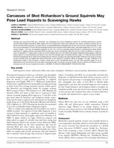 Research Article  Carcasses of Shot Richardson’s Ground Squirrels May Pose Lead Hazards to Scavenging Hawks LOREN D. KNOPPER,1 National Wildlife Research Centre, Canadian Wildlife Service, Carleton University Campus, O