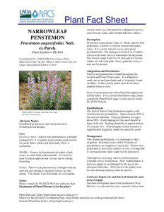 Plant Fact Sheet NARROWLEAF PENSTEMON